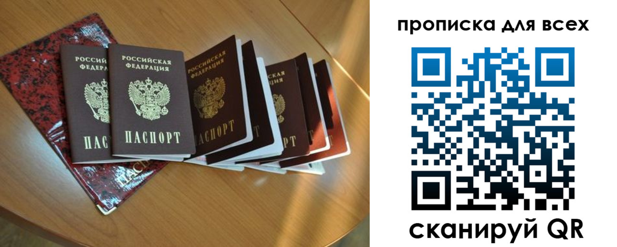прописка для школы в Кудрово